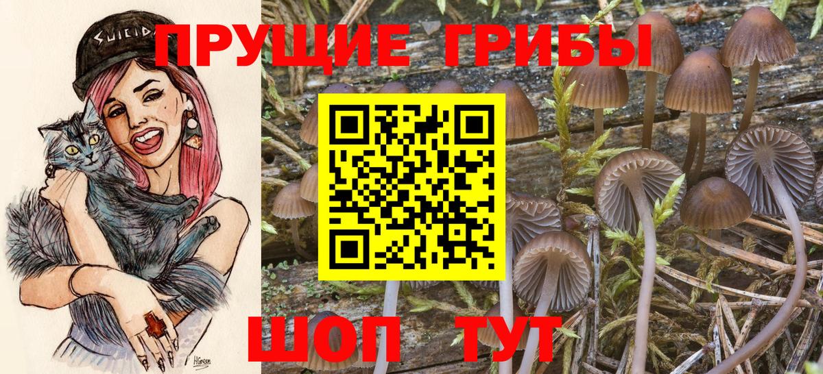 Галлюциногенные грибы мицелий  Вход с VPN  Красноуфимск 